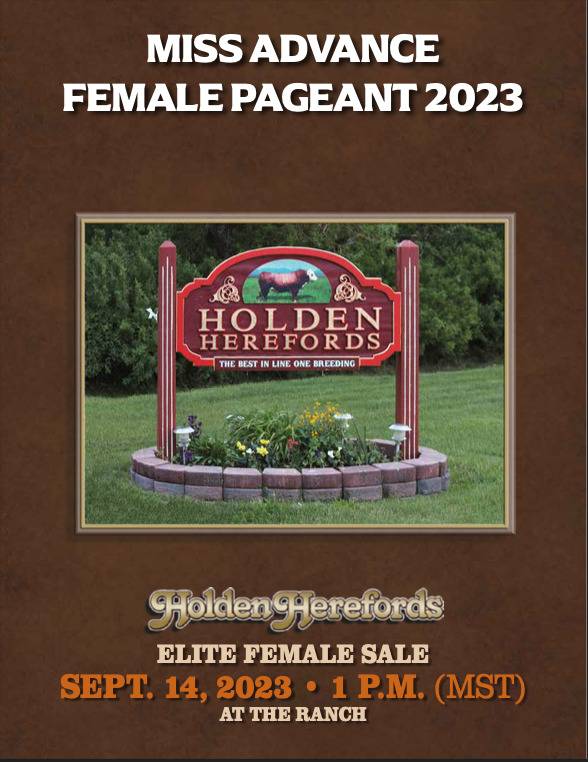 Holden female catalog 2023