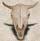 Cowboy Oriented Web Sites