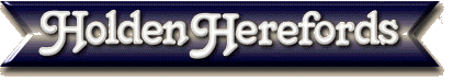 Holden Herefords